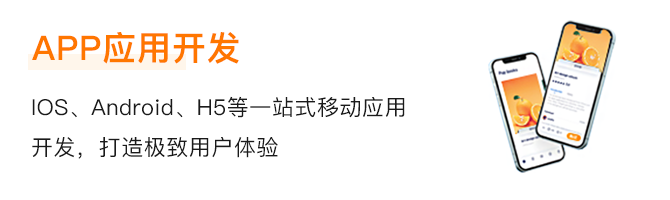 1678864615799990.png APP应用开发.png