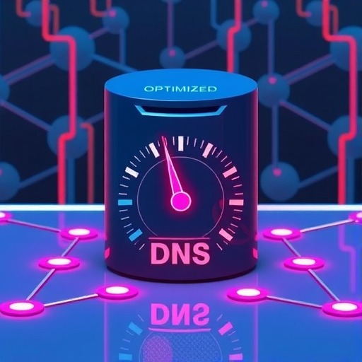 提升网站速度的秘密武器：DNS优化全面解析(图1)