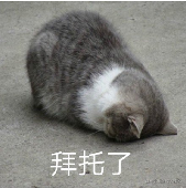 前端 HTML 转 PDF(图3)