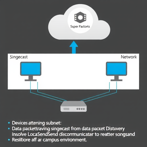 【小记】解决校园网中单播互通的不同子网间的 LocalSend 发现问题(图1)
