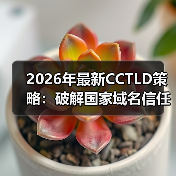 2026年最新CCTLD策略：破解国家域名信任密码的秘密