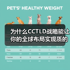 为什么CCTLD战略能让你的全球布局实现质的飞跃？