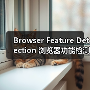 Browser Feature Detection 浏览器功能检测：渐进增强与兼容处理的秘密武器（图4）