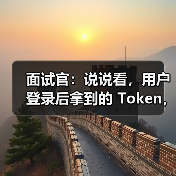 面试官：说说看，用户登录后拿到的 Token，你应该怎么存？存哪里？（图3）