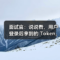 面试官：说说看，用户登录后拿到的 Token，你应该怎么存？存哪里？