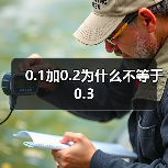 0.1加0.2为什么不等于0.3（图2）