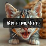 前端 HTML 转 PDF（图2）