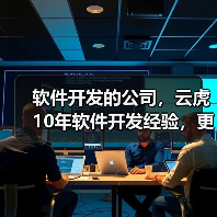 软件开发的公司，云虎10年软件开发经验，更靠谱（图2）