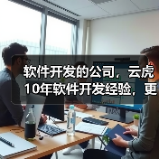 软件开发的公司，云虎10年软件开发经验，更靠谱（图4）