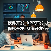 软件开发_APP开发_小程序开发_系统开发-云虎软件(图1) 软件开发_APP开发_小程序开发_系统开发-云虎软件(图1)