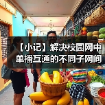 【小记】解决校园网中单播互通的不同子网间的 LocalSend 发现问题（图3）