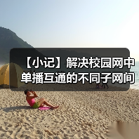 【小记】解决校园网中单播互通的不同子网间的 LocalSend 发现问题（图4）