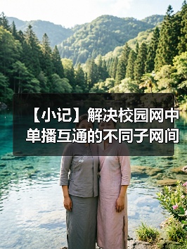 【小记】解决校园网中单播互通的不同子网间的 LocalSend 发现问题（图2）