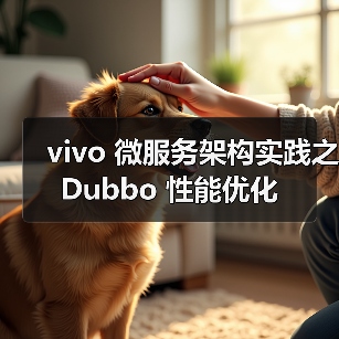 vivo 微服务架构实践之 Dubbo 性能优化（图3）