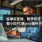 金蝶云苍穹，新手初学者小白PC端java插件开发教学示例（图2）