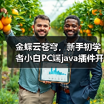 金蝶云苍穹，新手初学者小白PC端java插件开发教学示例（图1）