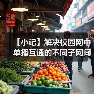 【小记】解决校园网中单播互通的不同子网间的 LocalSend 发现问题（图4）