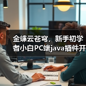 金蝶云苍穹，新手初学者小白PC端java插件开发教学示例（图2）