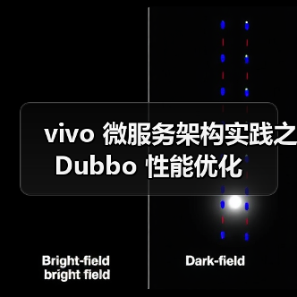 vivo 微服务架构实践之 Dubbo 性能优化（图3）