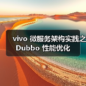 vivo 微服务架构实践之 Dubbo 性能优化（图2）