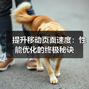 提升移动页面速度:性能优化的终极秘诀(图2) 提升移动页面速度:性能优化的终极秘诀(图2)