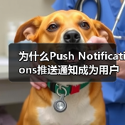 为什么Push Notifications推送通知成为用户重新参与的秘密武器？（图1）