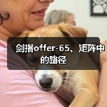 剑指offer-65、矩阵中的路径（图3）