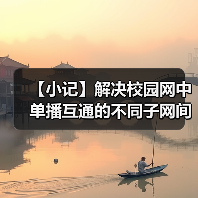 【小记】解决校园网中单播互通的不同子网间的 LocalSend 发现问题（图1）