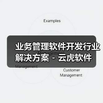 业务管理软件开发行业解决方案 - 云虎软件（图3）