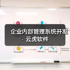 企业内部管理系统开发 - 云虎软件（图2）
