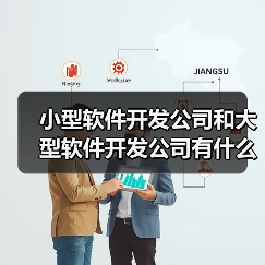 小型软件开发公司和大型软件开发公司有什么不同? - 云虎(图3) 小型软件开发公司和大型软件开发公司有什么不同? - 云虎(图3)