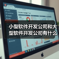 小型软件开发公司和大型软件开发公司有什么不同? - 云虎(图2) 小型软件开发公司和大型软件开发公司有什么不同? - 云虎(图2)