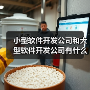 小型软件开发公司和大型软件开发公司有什么不同? - 云虎(图1) 小型软件开发公司和大型软件开发公司有什么不同? - 云虎(图1)