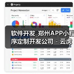 软件开发_郑州APP小程序定制开发公司 - 云虎软件（图1）