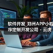软件开发_郑州APP小程序定制开发公司 - 云虎软件（图2）