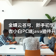 金蝶云苍穹,新手初学者小白PC端java插件开发教学示例(图2) 金蝶云苍穹,新手初学者小白PC端java插件开发教学示例(图2)