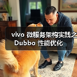 vivo 微服务架构实践之 Dubbo 性能优化(图4) vivo 微服务架构实践之 Dubbo 性能优化(图4)