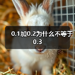 0.1加0.2为什么不等于0.3（图2）
