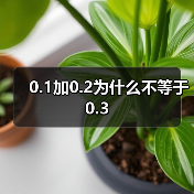 0.1加0.2为什么不等于0.3（图4）