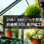 25K+ Star!一个开源的通用 SQL 客户端工具!(图3) 25K+ Star!一个开源的通用 SQL 客户端工具!(图3)