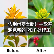 告别付费套路！一款开源免费的 PDF 处理工具箱！（图4）