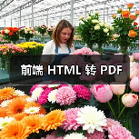 前端 HTML 转 PDF(图3) 前端 HTML 转 PDF(图3)