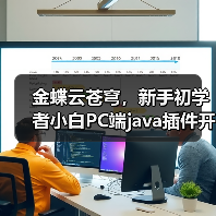 金蝶云苍穹,新手初学者小白PC端java插件开发教学示例(图1) 金蝶云苍穹,新手初学者小白PC端java插件开发教学示例(图1)
