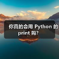 你真的会用 Python 的 print 吗？（图1）