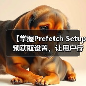 【掌握Prefetch Setup 预获取设置，让用户行为引领网站极速加载】（图3）