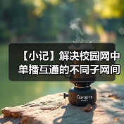 【小记】解决校园网中单播互通的不同子网间的 LocalSend 发现问题(图1) 【小记】解决校园网中单播互通的不同子网间的 LocalSend 发现问题(图1)