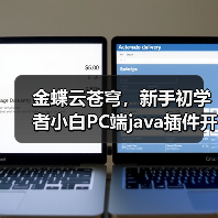 金蝶云苍穹,新手初学者小白PC端java插件开发教学示例(图4) 金蝶云苍穹,新手初学者小白PC端java插件开发教学示例(图4)