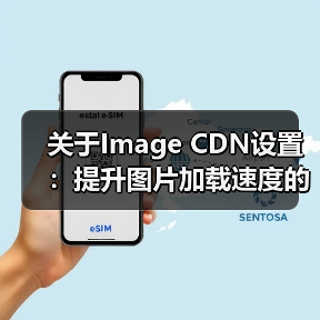 关于Image CDN设置:提升图片加载速度的秘密武器(图4) 关于Image CDN设置:提升图片加载速度的秘密武器(图4)