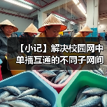 【小记】解决校园网中单播互通的不同子网间的 LocalSend 发现问题(图2) 【小记】解决校园网中单播互通的不同子网间的 LocalSend 发现问题(图2)