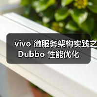 vivo 微服务架构实践之 Dubbo 性能优化(图4) vivo 微服务架构实践之 Dubbo 性能优化(图4)